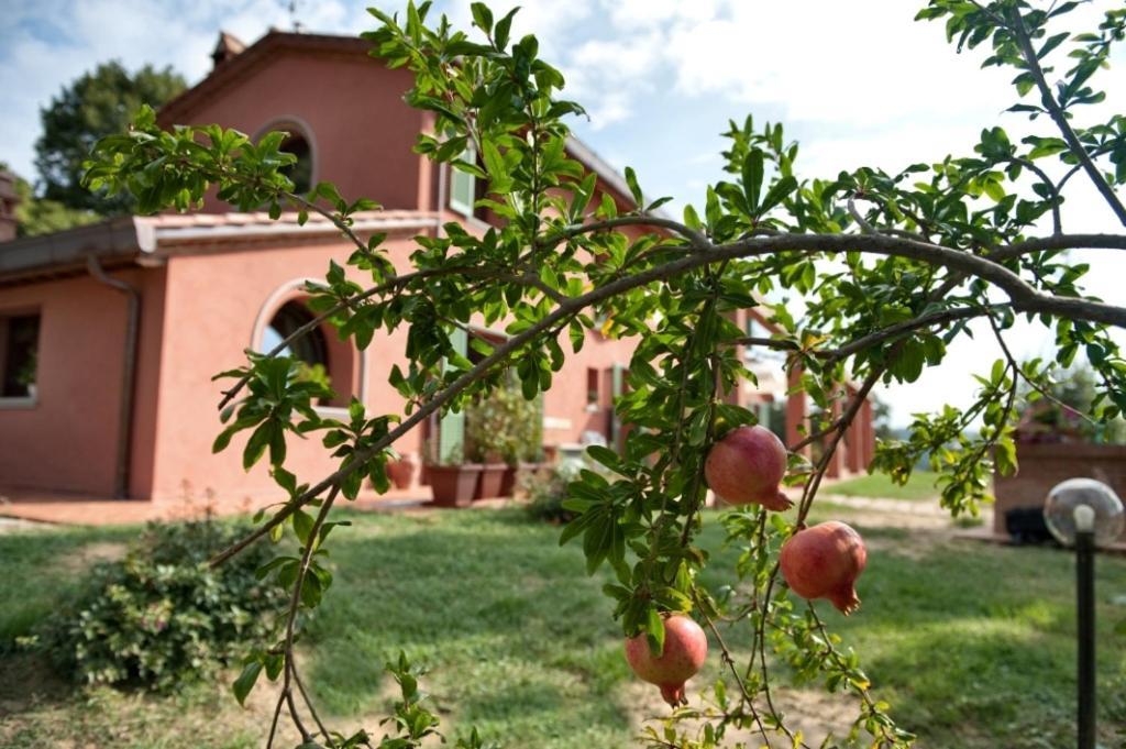 Podere Chiaromonte Палая Экстерьер фото